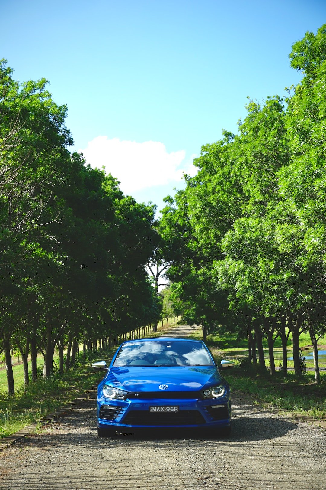 blue car parked near green trees during daytime